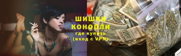 mix Богородицк