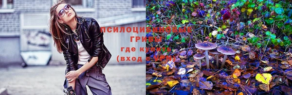 первитин Белокуриха