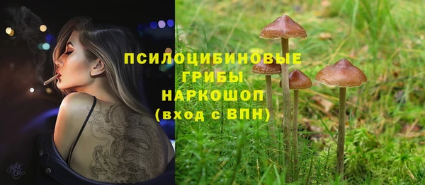 a pvp Беломорск