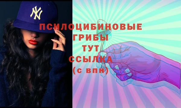 a pvp Беломорск